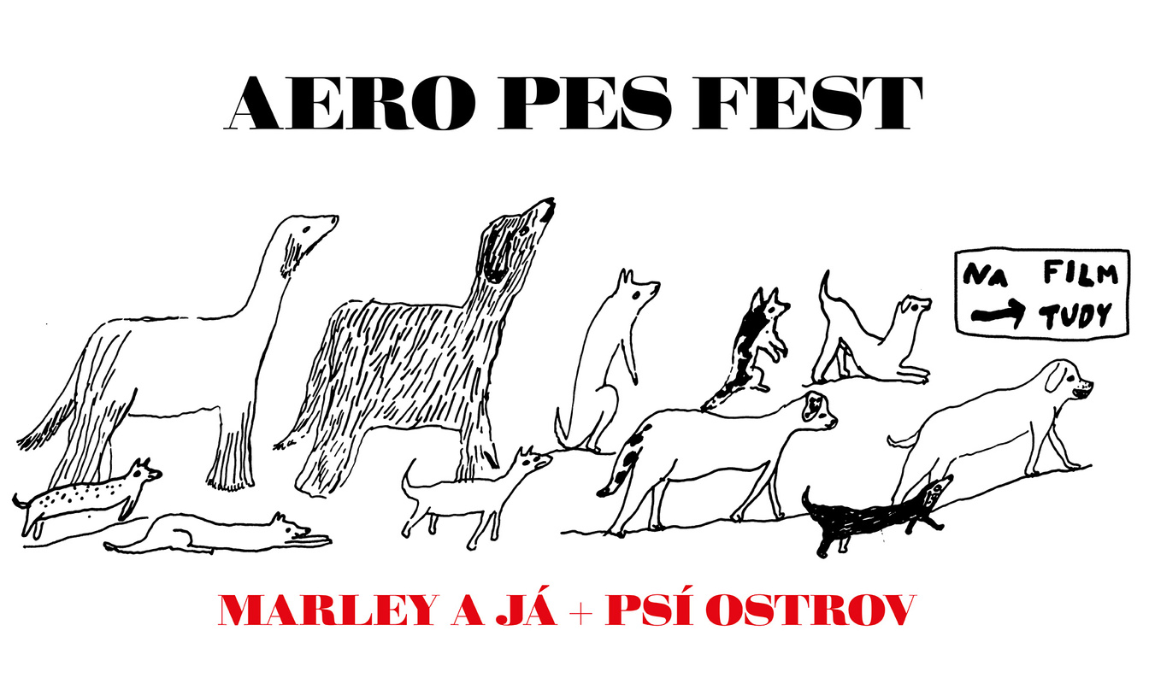 Aero Pes Fest