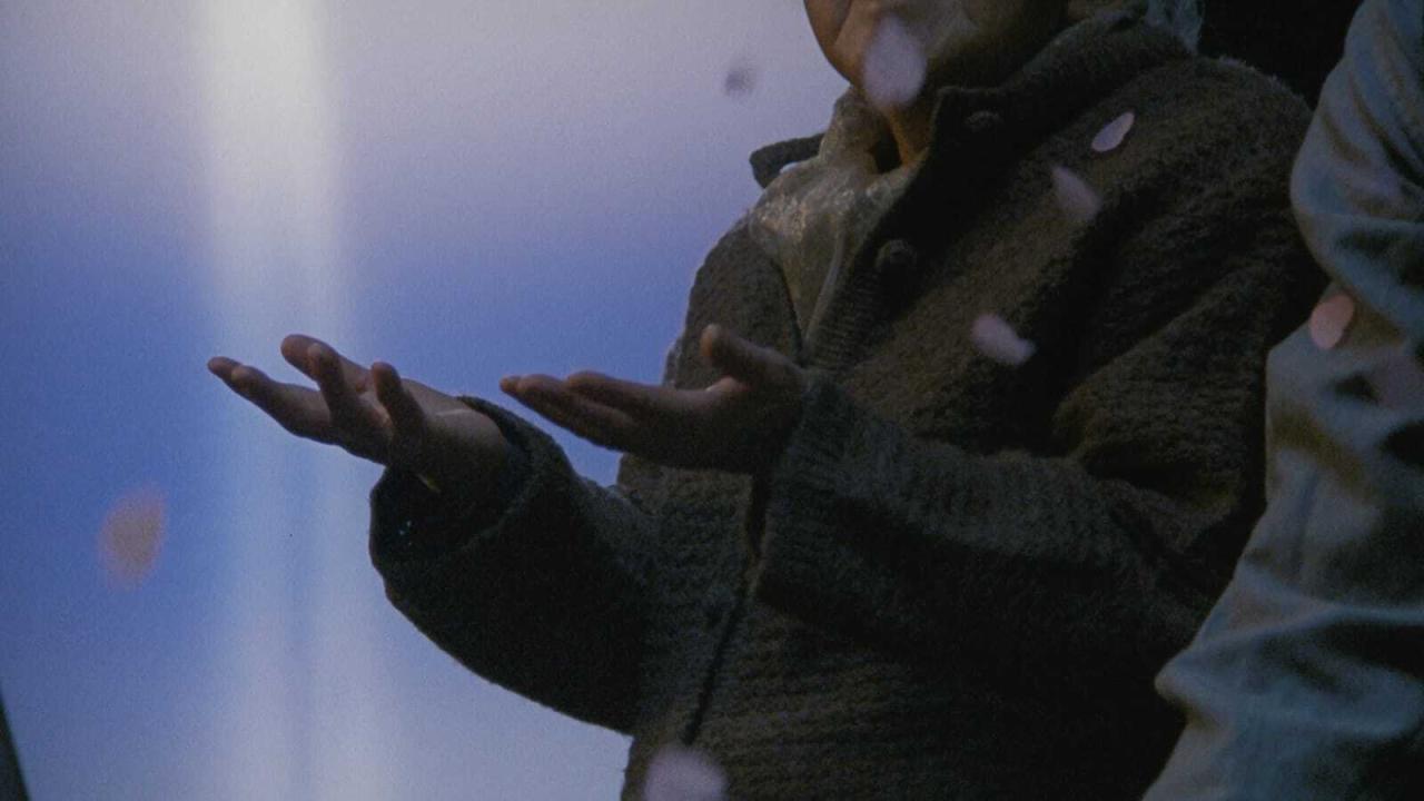 detail-filmu